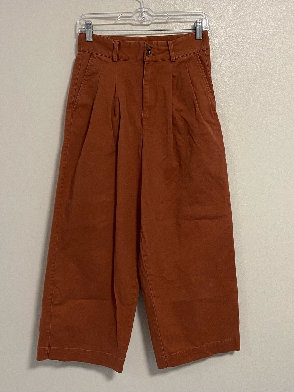 Madewell Pants Women’s Size 2 Terracotta Pleated front Wide Leg High-Waist Pants